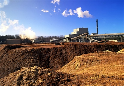 Biomasa ključna za doseganje podnebno-energetskih ciljev